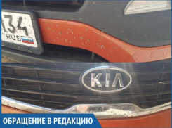 Ощущение, что мэрия специально нас испытывает, - волжанка