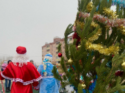 Новогодние елки в ЖК «Династия»