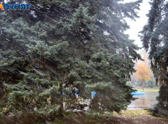 Плюсовая температура установится в Волжском с первого дня весны