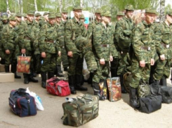 Ребята из Волжского пойдут служить в Президентский полк