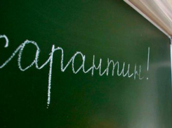 В Волжском все школы закрыли на карантин 