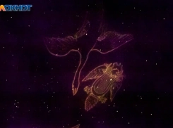 Возможны противоречивые указания: гороскоп на 23 марта