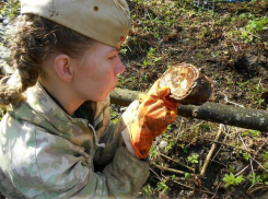 Под Волгоградом обнаружили останки двух солдат ВОВ
