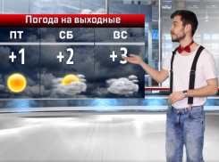 Мальчик-зайчик порадовал волжанок в спецвыпуке прогноза погоды от Блокнота 