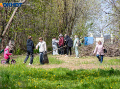 2 тысячи деревьев и 594 организации: в Волжском подвели итоги генеральной уборки