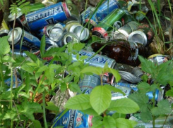 На улице Заводской в Волжском несколько месяцев не убирали мусор 