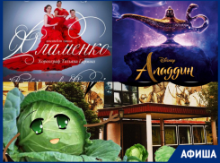 Жаркое фламенко,  восточная сказка Алладин и «Театральный капустник» - афиша от «Блокнота Волжского»