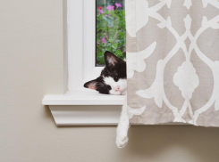 Почти половина волжан считают себя лентяями: 37% местных не стараются двигаться дальше холодильника