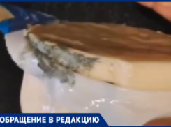 Не камамбер и не рокфор: купленный в Волжском сыр покрылся грибком при сроке годности до августа