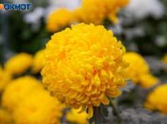 День тишины и знаков судьбы: что сулил день на Руси