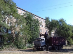 В Волжском планируют спилить 279 сухих деревьев