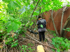 В Саратове обнаружен труп жителя Волгограда