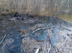Розлив нефти на Волге принёс ущерб в 20 миллионов рублей