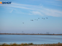 Солнечно и ветрено: прогноз погоду на субботу в Волжском