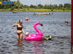 Август начнется с тепла и засухи в Волжском