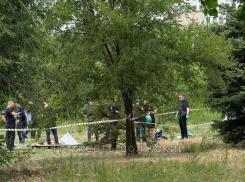 В Волжском в парке обнаружено тело мужчины