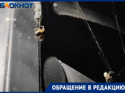 Акромантулы оплели дом волжанки огромной паутиной: видео