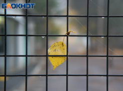 В Волгоградской области закроют исправительную колонию № 24 в Камышине