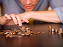 Работали за «спасибо»: директор не платил подчиненным в Волгоградской области