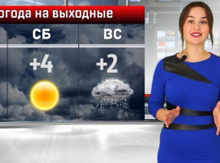 Солнце и дождь: погода в выходные