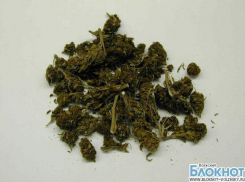 За прошедшие сутки в Волгоградской области полицейские обнаружили несколько точек продажи марихуаны