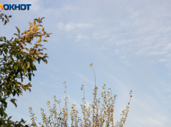 Утро сегодня - не лучший союзник: гороскоп на 30 января