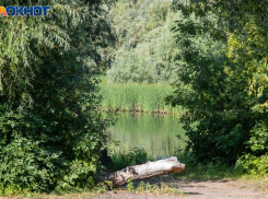 Жара в Волжском начнет сдавать позиции