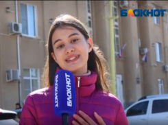 Жители Волжского жалуются на количество бездомных собак на улицах города