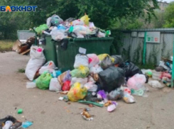 «Эковывоз» определил дни вывоза мусора для волжан, проживающих в поселке Рабочий