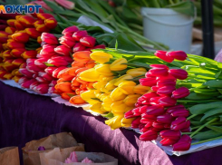 Нежный праздник в суровых буднях: школьники Волгоградской области поздравили женщин-криминалистов и спасателей