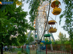 В Волгоградской области ввели ограничения на посещение лесов из-за обработки от вредителей 