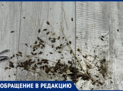 Деменция и запущенная квартира: соседи опасаются за жизнь пенсионерки и всего дома в Волжском