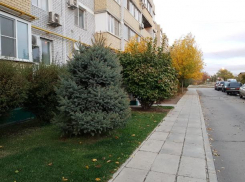 Синоптики обещают волжанам солнечную и холодную среду