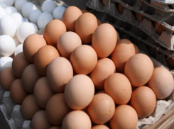 В Волжском продают самые дешевые яйца