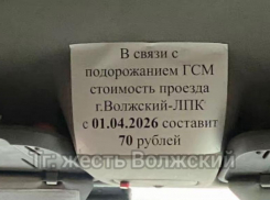 Волжане возмущены подорожанием проезда в маршрутке №105А до 70 рублей