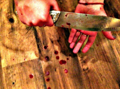 Ранее судимый подросток зарезал возрастного обидчика и его друга в Волгоградской области