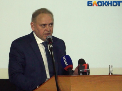 Бродячие собаки, бассейн и трамваи: отчет мэра Волжского Игоря Воронина