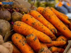 Роспотребнадзор изъял 300 тонн опасной продукции в сети «Светофор», но магазины Волгоградской области проверку прошли