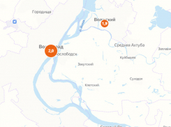 «Такими темпами уйдем в ноль»: индекс самоизоляции Волжского 1,9 балла