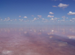 Озеро Эльтон амбассадор страны: волжане голосовали