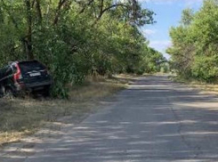 Близ Волжского мужчина влетел в дерево: есть пострадавшие
