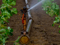 Злоумышленники выкопали более 1 км трубопровода почти на 2 млн рублей