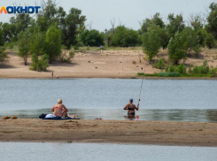 Сохранился ли естественный нерест волжских осетровых? Что известно и какие перспективы
