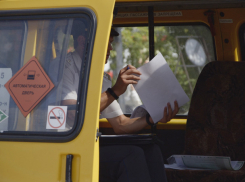 В Волжском выведут маршрутки на загруженные направления