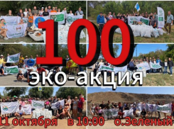 100 шагов к чистоте: «Чистый Волжский» зовет на юбилейную, сотую эко-акцию на остров Зеленый