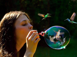 День пускания мыльных пузырей будет жарким