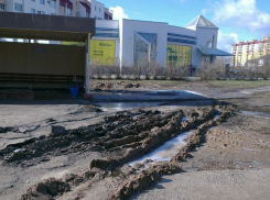 Грузовики «Покупочки» в Волжском изуродовали асфальт на остановке и перепахали зеленую зону