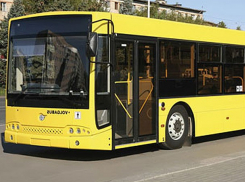 Первые два дня из Волжского в Волгоград можно уехать на двух маршрутах