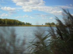 Синоптики обещают солнечную середину рабочей недели