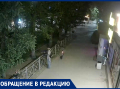 В Волжском мужчина выдрал цветы у магазина: видео